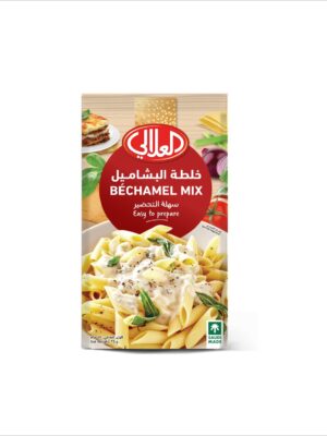 BECHAMEL MIX 10*4*75G