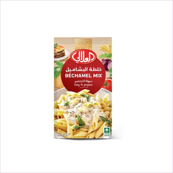 BECHAMEL MIX 10*4*75G